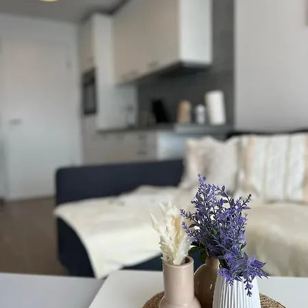 Rosengarten In * Tettnang